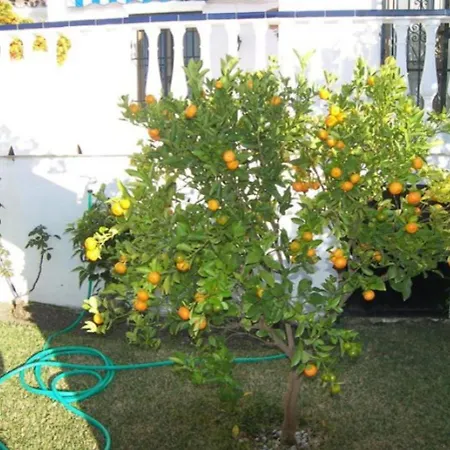 Capistrano1 * Nerja